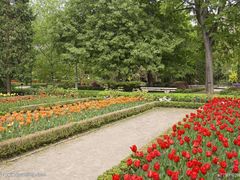 -西部兰花园生态园