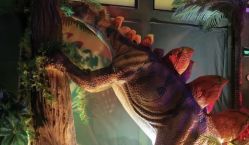 -恐龙探索乐园(磁器口店)