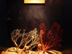 -亚龙湾中心广场·贝壳馆