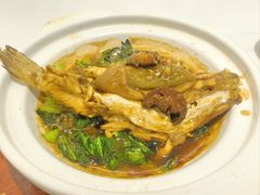 河豚鱼-老季市·三代非遗传承·地标美食老汁鸡(工农路店)