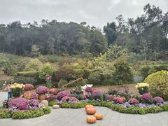 -云溪植物园