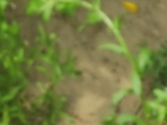 -益康盲人推拿按摩(长虹店)