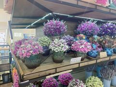 -L.C FLORA花予你(城西银泰城店)