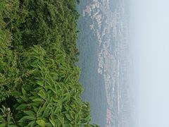 -紫金山山顶公园