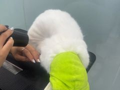 -爱洗澡的猫(望京店)