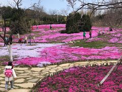 -棒棰岛宾馆景区