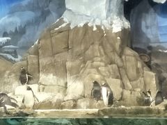 -成都浩海立方海洋公园