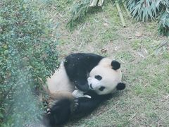 -大连森林动物园