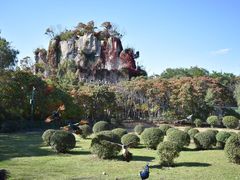 -沈阳鸟岛
