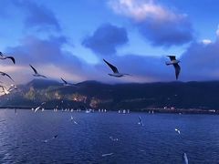 -海埂大坝