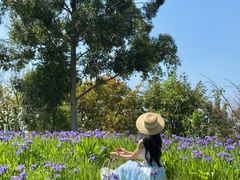 -白鹭湾湿地公园