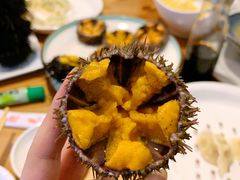 -海胆小馆(东北水饺·春柳店)