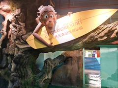 -杭州开元森泊度假乐园