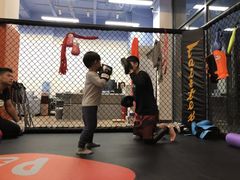 -体育科代表搏击散打体能训练馆(陶然亭店)