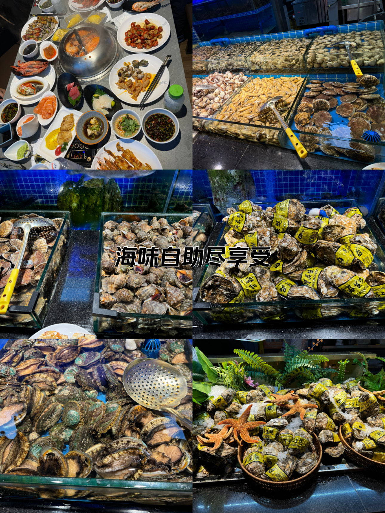 北海海鲜自助餐厅推荐图片