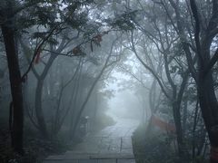 -泰山风景名胜区