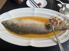 陈年花雕蒸鲥鱼-福1039(愚园路店)