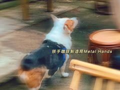 -Metal hands·铁手咖啡