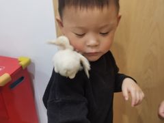 -蒙蒙狮蒙台梭利儿童之家