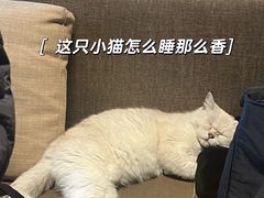 -谷咖啡·鲜花绿植花园餐厅