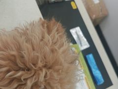 -艾吉宠物医院·疑难杂症转诊中心·猫友好(碧江路院)