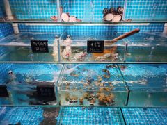 水产区-北戴河庆山饭店·海鲜砂锅粥(北戴河黑石路店)