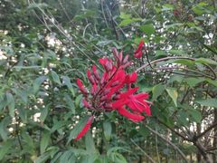 -三圣花乡旅游区