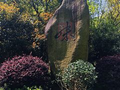 景点-西湖风景区-江洋畈生态公园