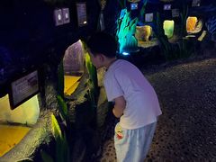 -上海大自然野生昆虫馆(东方明珠·爬宠昆虫探索中心)