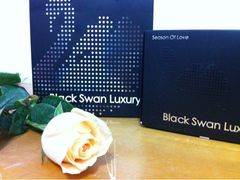 iphone_upload_pic-BLACKSWAN黑天鹅(环球店)