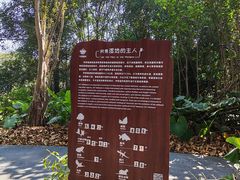 -华侨城湿地公园
