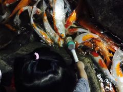 -泉城欧乐堡海洋极地世界
