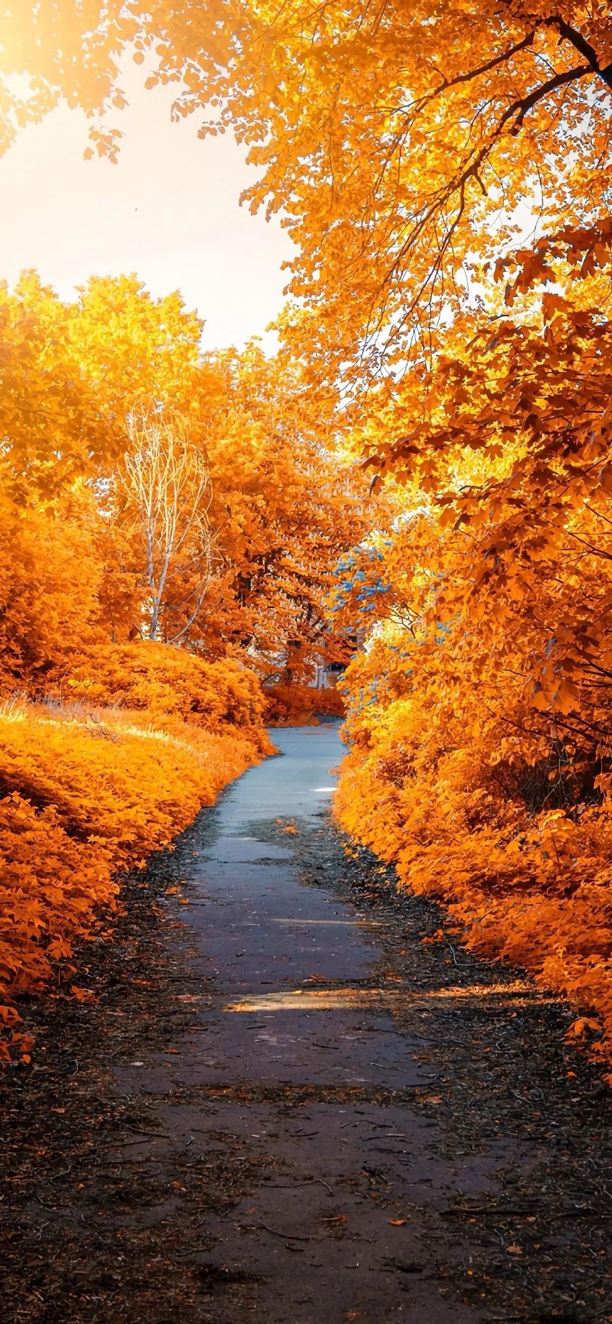 心情如海,随波逐流好美的风景 好想出去玩啊