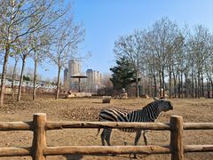 -大连森林动物园