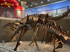 -国家自然博物馆