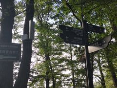 -陕西省红河谷森林公园