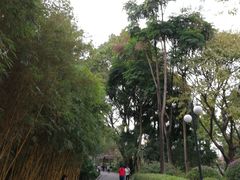 -晓港公园
