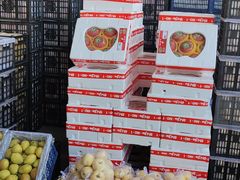 -东方鼎信农副产品交易中心