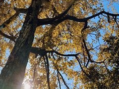 -狼山风景名胜区