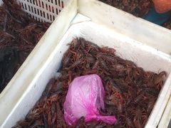 -马王堆海鲜水产市场