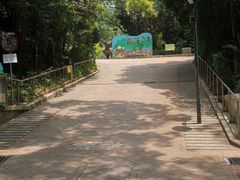 -九龙公园