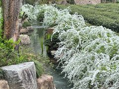 -中国茶叶博物馆(双峰馆区)