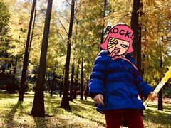 -晓港公园