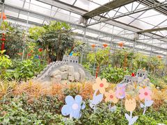 -南宫五洲植物乐园