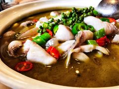 青锅花椒鱼-重庆鸡公煲·青锅花椒鱼(牡丹江路店)