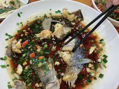 -全乐鱼馆·淳牌有机鱼直营店