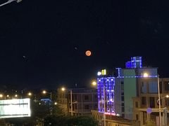-原龙海鲜大排档(美食地标店)