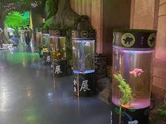 -梦幻海洋王国(吾悦广场张家港店)