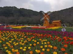 -苏州上方山国家森林公园