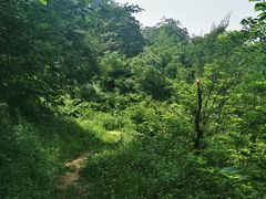 -秦岭风景区